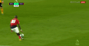 57 杨红牌.gif