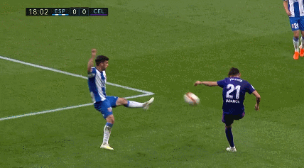 19.gif