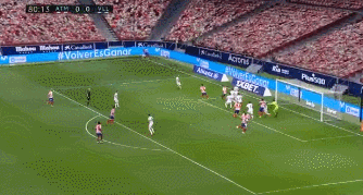 81，比托洛.gif