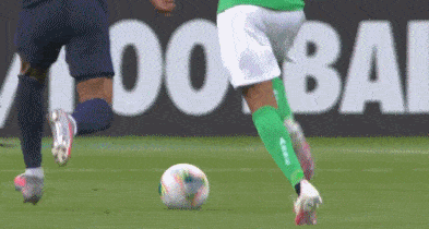 mbp1.gif