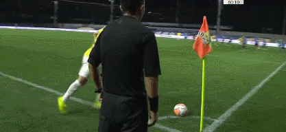 81.gif