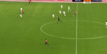 30，费尔南迪尼奥.gif