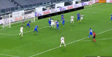 博努奇.gif