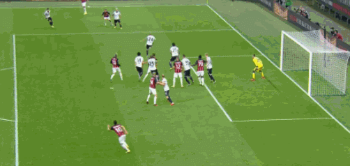 49.gif