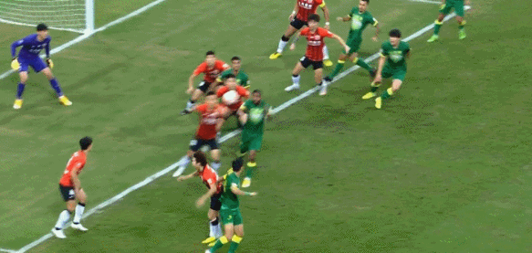 贺惯手球.gif