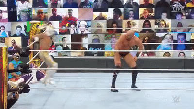 8.gif