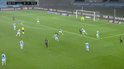 塞尔塔1.gif