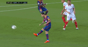 库鸟1-1.gif
