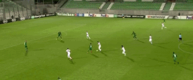 罗塞3-1 1.gif