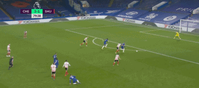 维尔纳4-1.gif