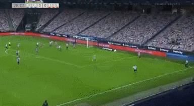 29，卡莱罗.gif