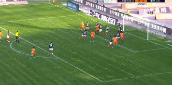 22，费莱尼.gif