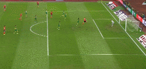 侯森最后.gif
