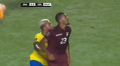 29.gif