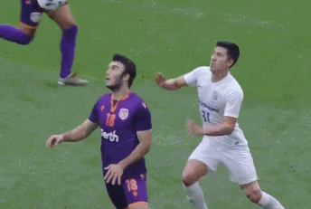 王伟1.gif