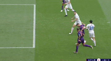 8282.gif
