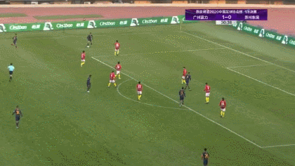 31 日夫科维奇.gif