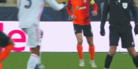 瓦拉内2.gif
