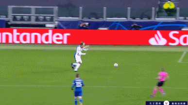 31.gif