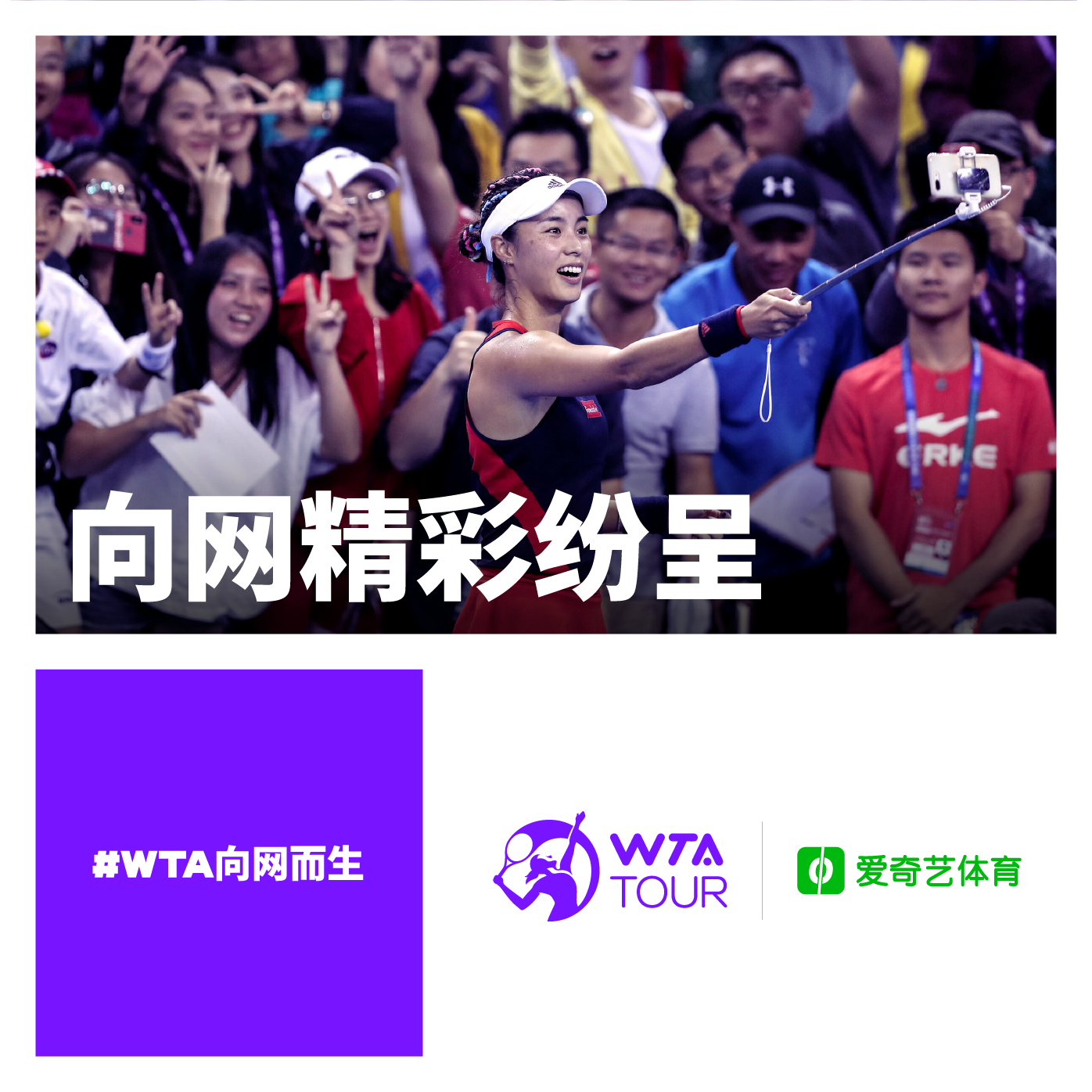 WTA_Partner_iqiyi-Chinese.png