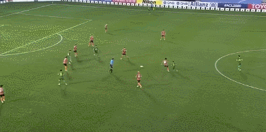 60。张稀哲.gif