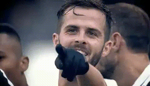 皮亚尼奇.gif