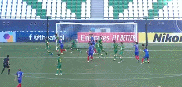 8，渡边纲.gif
