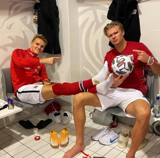 糕糕 哈兰德.png