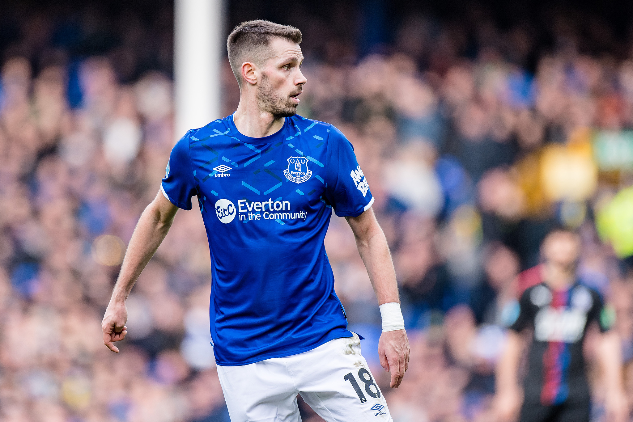 官方法甲尼斯签下前曼联中场施奈德林